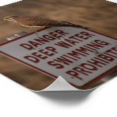 Kestrel Poster (Hoek)