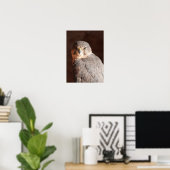 Kestrel Poster (Thuiskantoor)