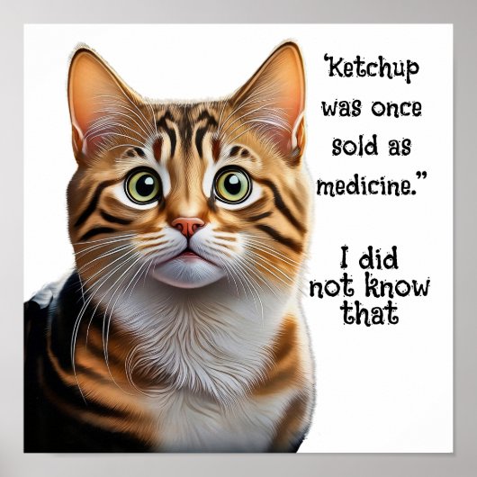 Ketchup verkocht als medicijn poster (Voorkant)