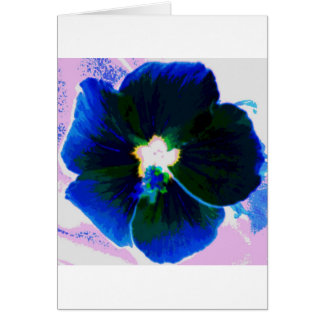Ketmie Azul