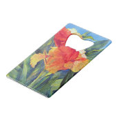 Ketmie et Canna (Dos Angle)