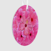 Ketmie rose (devant)
