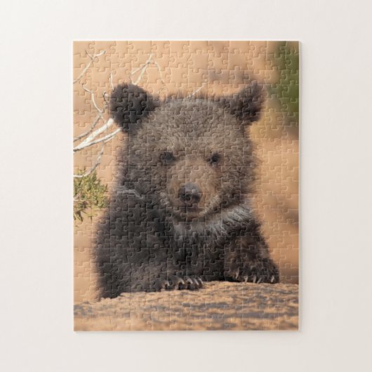 Keuk Beer Legpuzzel (Verticaal)