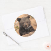 Keuk Beer Ronde Sticker (Envelop)