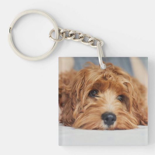 Keuk Dog Acrylische Sleutelhanger (Voorkant)