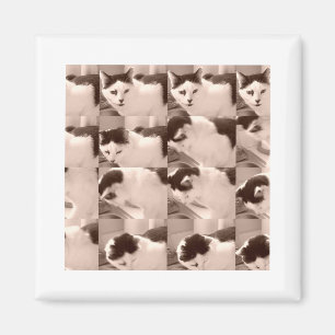 keukat/zwart/witte foto magneet