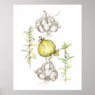 Keuken Art Onions Garlic Rosemary Herb Drawing Poster