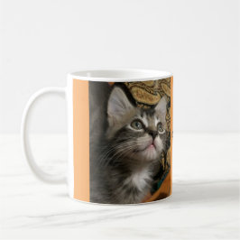 Keuken: "Blijf op de hoogte!" Mok