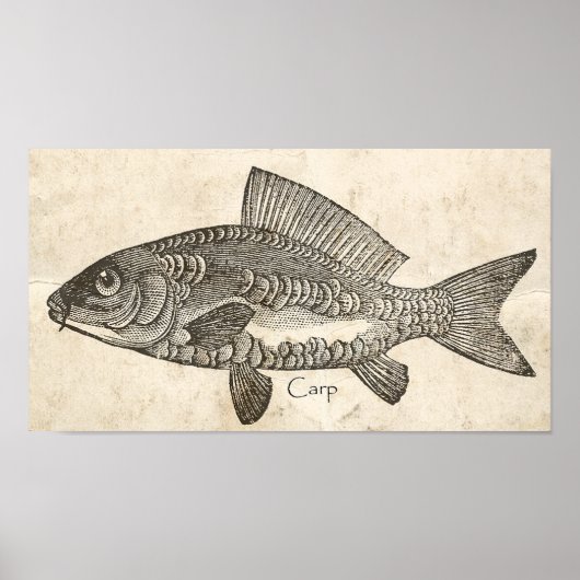 Keuken Decor Wall Art  Carp Koi Fish Poster (Voorkant)