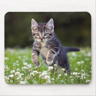 Keuken die door klaver lopen muismat