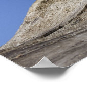 Keuken die op logboek liggen, paaien, close-up poster (Hoek)