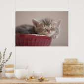 Keukengewas in een koffer poster (Keuken)