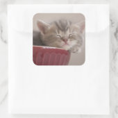 Keukengewas in een koffer vierkante sticker (Tas)