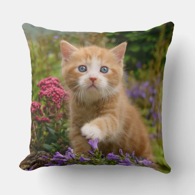 Keukenginger kitten in een tuin kussen (Voorkant)