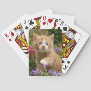 Keukenginger kitten in een tuin speelkaarten