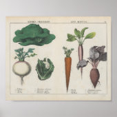 Keukengroenten | Charlotte Mary Yonge Poster (Voorkant)