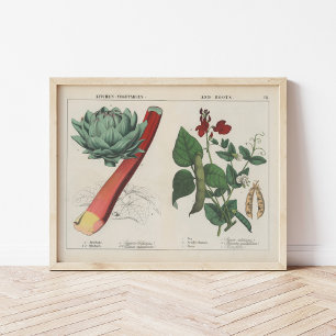 Keukengroenten   Charlotte Mary Yonge Poster