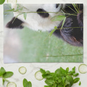 keukenhanddoek Foto reus panda, animal 0221. (Gevouwen)