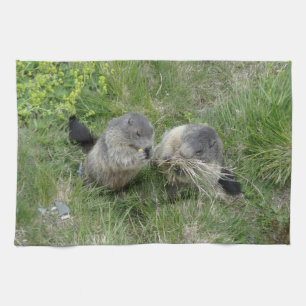keukenhanddoek voor marmots