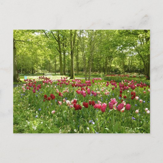 Keukenhof 2 briefkaart (Voorkant)