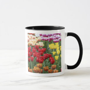 Keukenhof Gardens, Holland, is gespecialiseerd in Mok