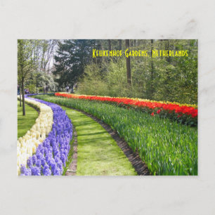 Keukenhof Gardens, Nederland Briefkaart