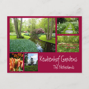 Keukenhof Tudens Collage Briefkaart