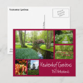 Keukenhof Tudens Collage Briefkaart (Voorkant / Achterkant)