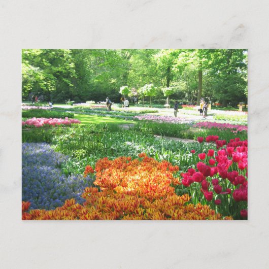 Keukenhof tuin - Holland briefkaart (Voorkant)