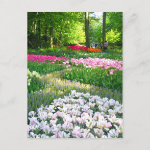 Keukenhof tuin - Holland briefkaart