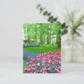 Keukenhof tuin - Holland briefkaart (Staand voorkant)