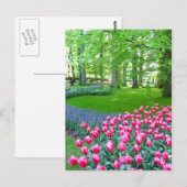 Keukenhof tuin - Holland briefkaart (Voorkant / Achterkant)