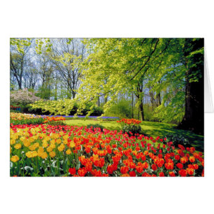KEUKENHOF TUINEN