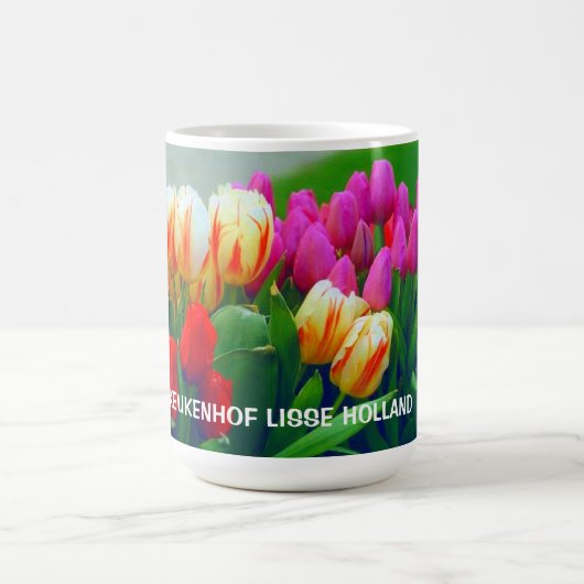 KEUKENHOF TUINEN KOFFIEMOK (Center)