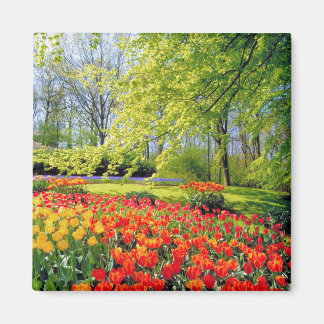 KEUKENHOF TUINEN, LISSE HOLLAND MAGNEET