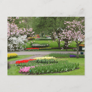 Keukenhof Tuinen, Nederland Briefkaart