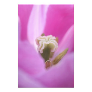 Keukenhof-tuinen, Nederland, is gespecialiseerd in Foto Afdruk