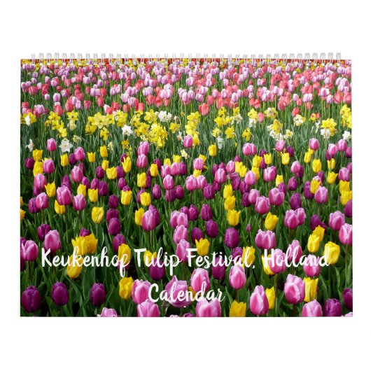 Keukenhof Tulip Festival, Pays-Bas - Calendrier 20 (Protection)
