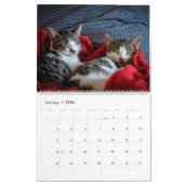Keukenkat Collectie kalender (groot) (Jan 2026)