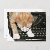 Keukenkatten Briefkaart (Voorkant / Achterkant)