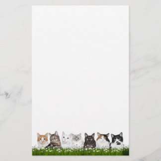 Keukenkatten in dagboeien briefpapier
