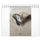 Keukenkatten Kalender (Hoes)