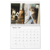 Keukenkatten Kalender (Feb 2027)