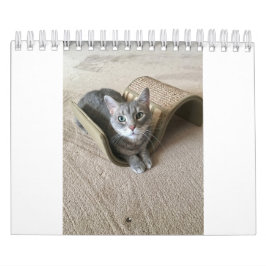 Keukenkatten Kalender