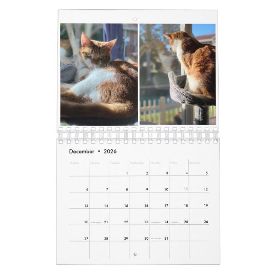 Keukenkatten Kalender (Dec 2026)