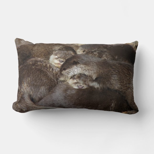 Keukenotters Kussen (Voorkant)