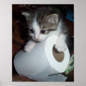 keukenpapier poster (Voorkant)