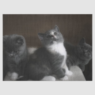 keukenpapier tissuepapier