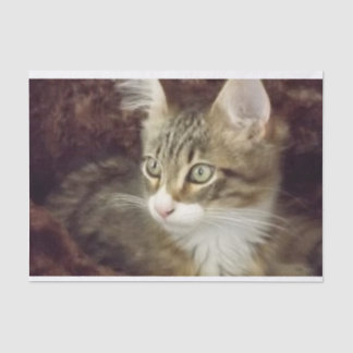 Keukenpapiermeubelen voor losbladig papier