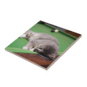 Keukenpoel Tegeltje (Zijkant)